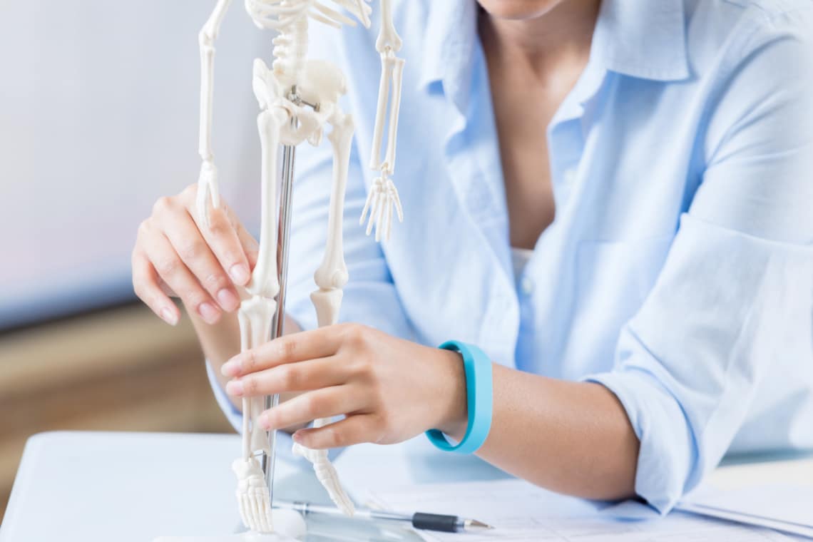 10 érdekes tény a csontokról, amit csak kevesen tudnak