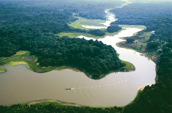 Amazonas, Dél-Amerika