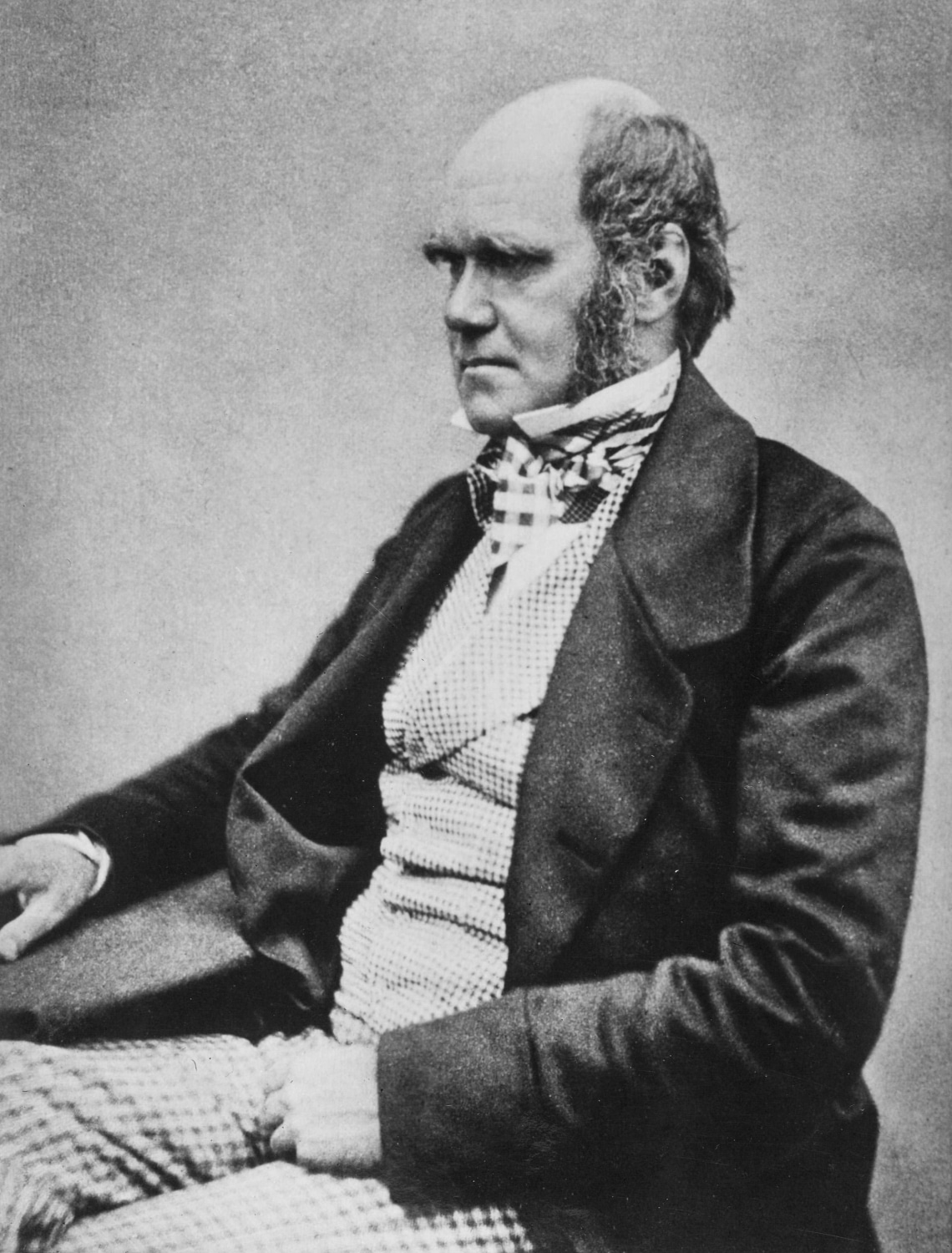 Az evolúció elmélete ‒ Charles Darwin