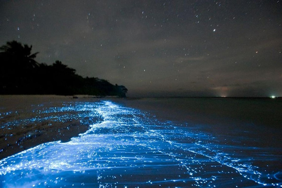 Csillagok tengere – Vadhoo sziget, Maldív-szigetek