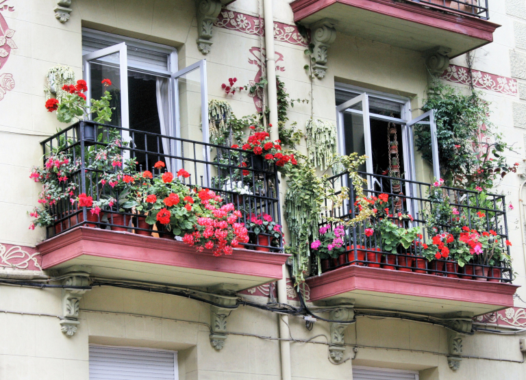 5 igénytelen, de mégis csodaszép virág a balkonodra