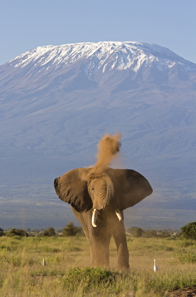 Mount Kilimanjaro, Afrika