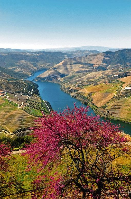 Douro-völgye, Portugália