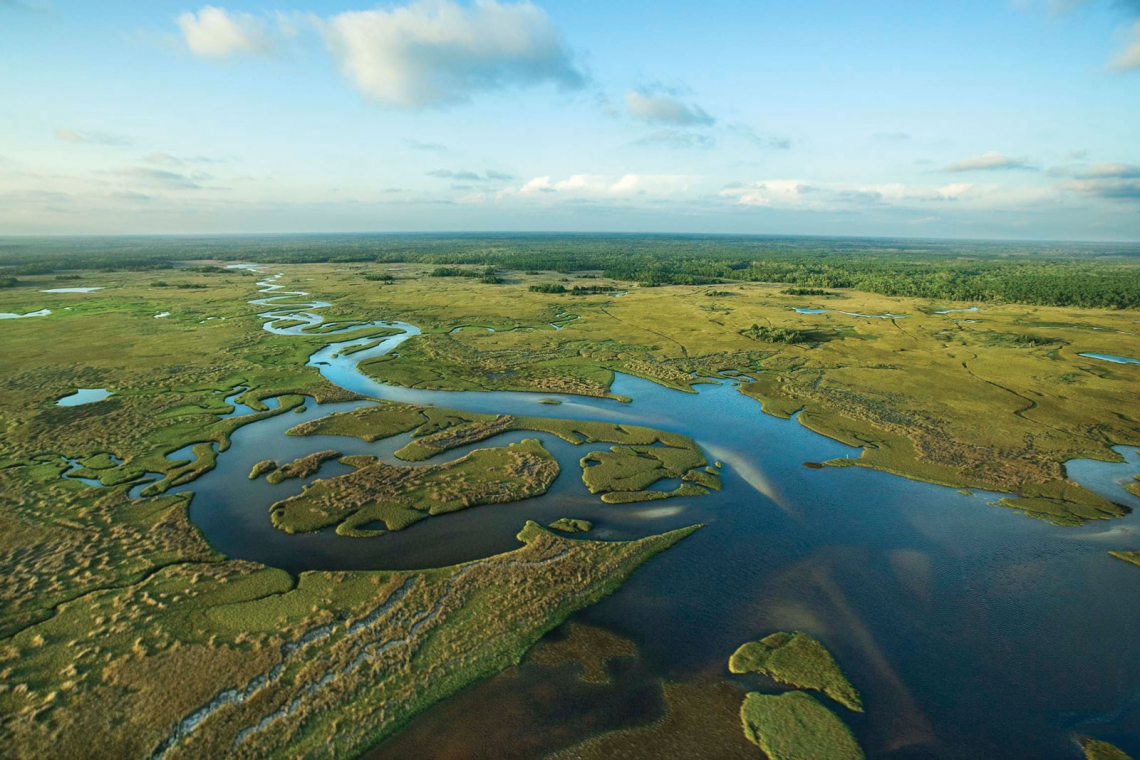 Az Everglades édesvízi mocsár