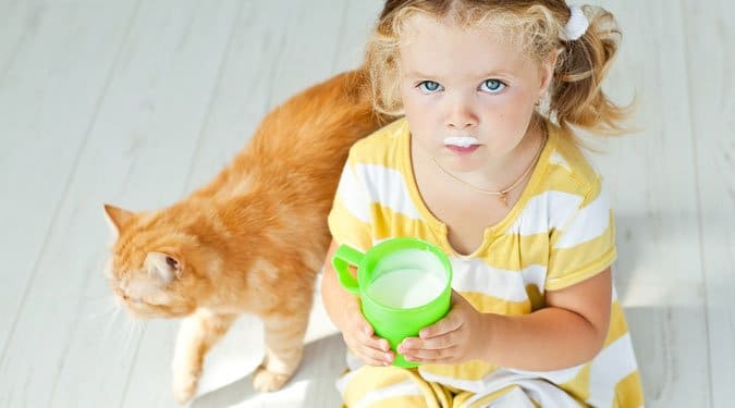 10 étel, amit ne adj a macskádnak