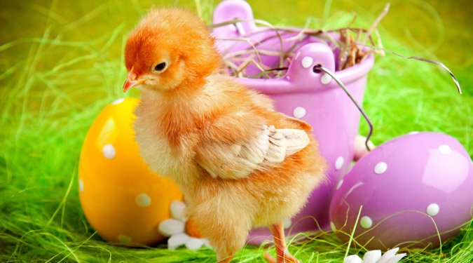 20 csodálatos húsvéti képeslap. Küldj te is!