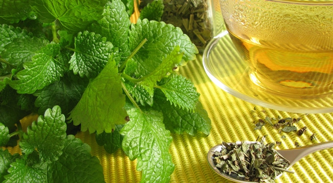 5 ok, amiért a zöld tea segít a fogyásban - HáziPatika