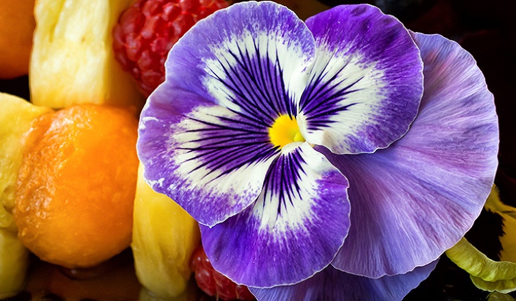 Ehető illatok – 7 gyönyörű virág, ami a tányérodra is kerülhet