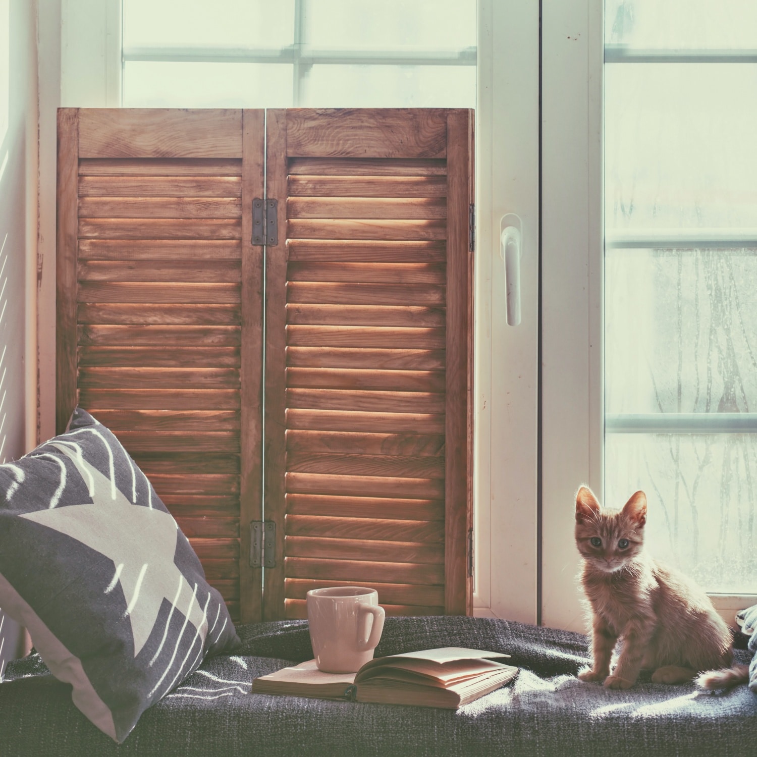 5 szívmelengető macskás könyv, amit hideg estéken olvashatsz