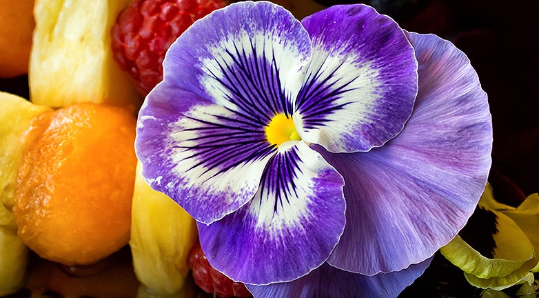 7 gyönyörű virág, ami a tányérodra is kerülhet