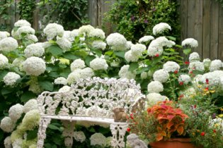 8 ötletes kert és kültéri dekoráció
