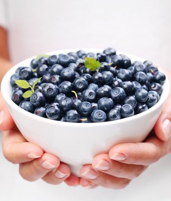 Blueberry - Billet az erdei ajándékok télen. Blueberry - Hasznos áfonya tulajdonságok