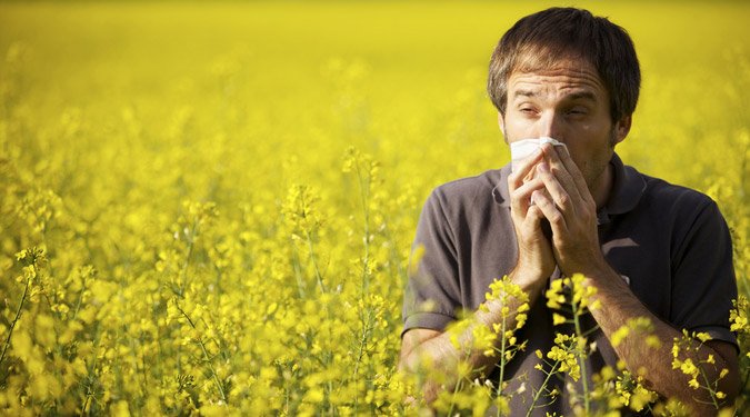 A 9 leggyakoribb allergén