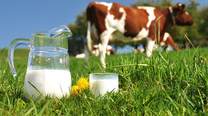 A tej 6 nagyszerű egészségügyi előnye