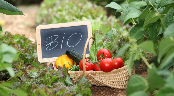 Ettől bio a bioélelmiszer! A bio termesztés szabályai