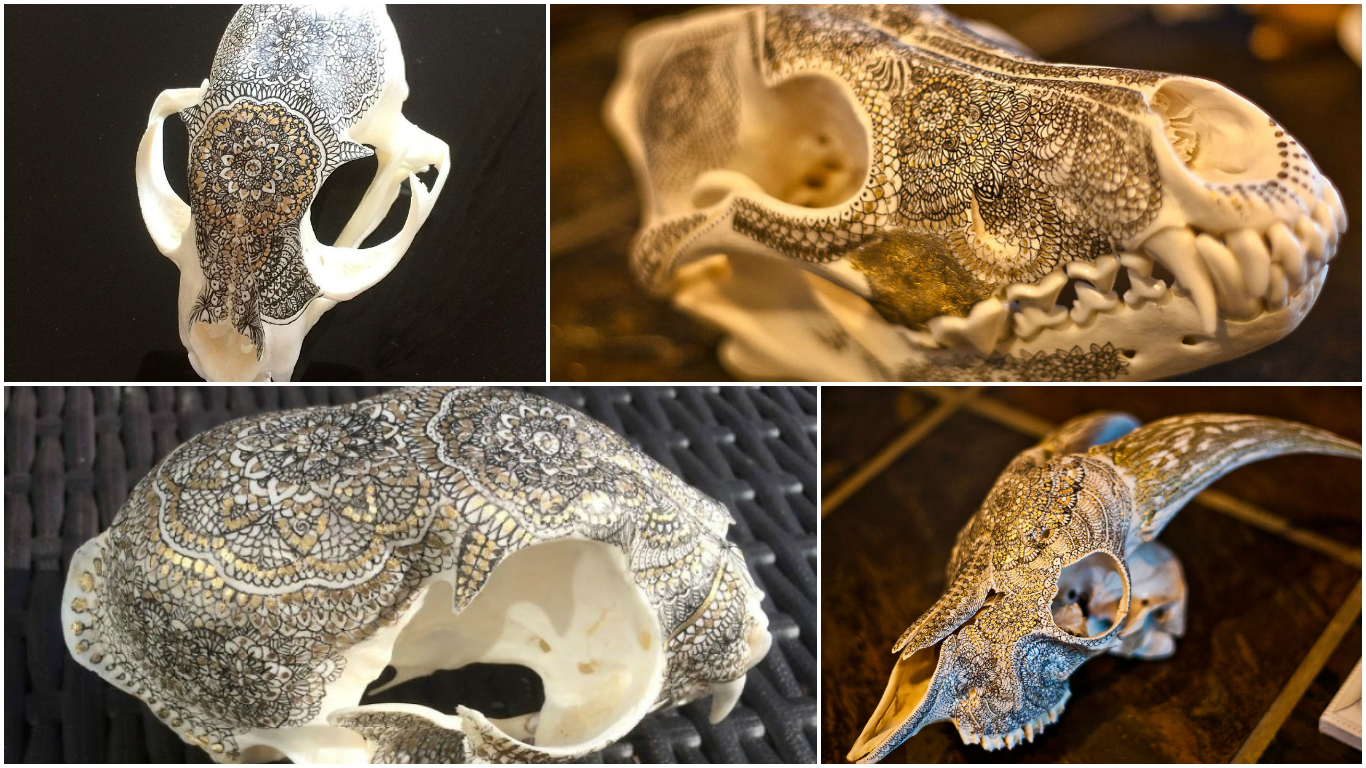 Gyönyörű, de bizarr – Mandalával díszített koponyákat készít egy archeológus
