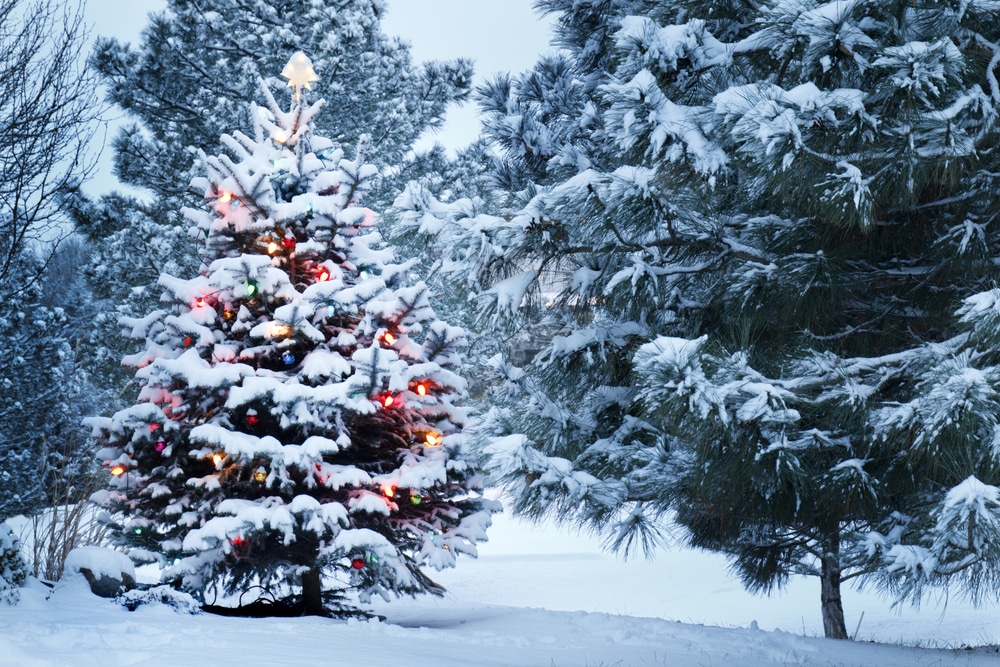 Három valódi karácsonyi csoda, ami a te szemedbe is könnyeket csal