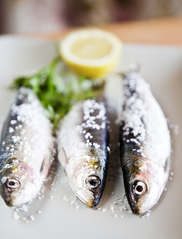 A halolajok és az Omega-3 zsírsavak hatása az egészségre