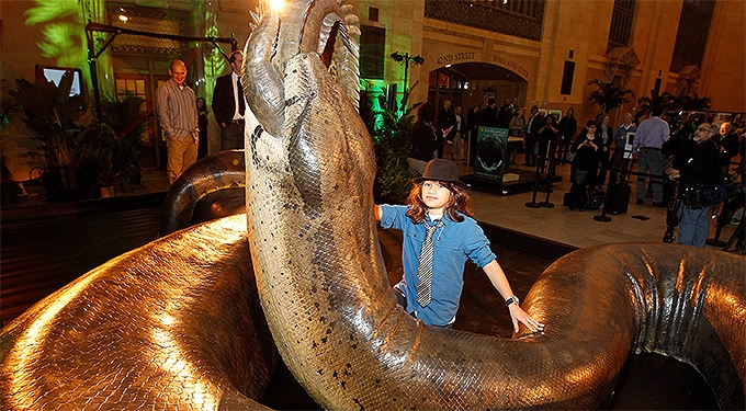 Négyszáz kilós krokodil harcolt a 17 méteres kígyóval: hátborzongató!