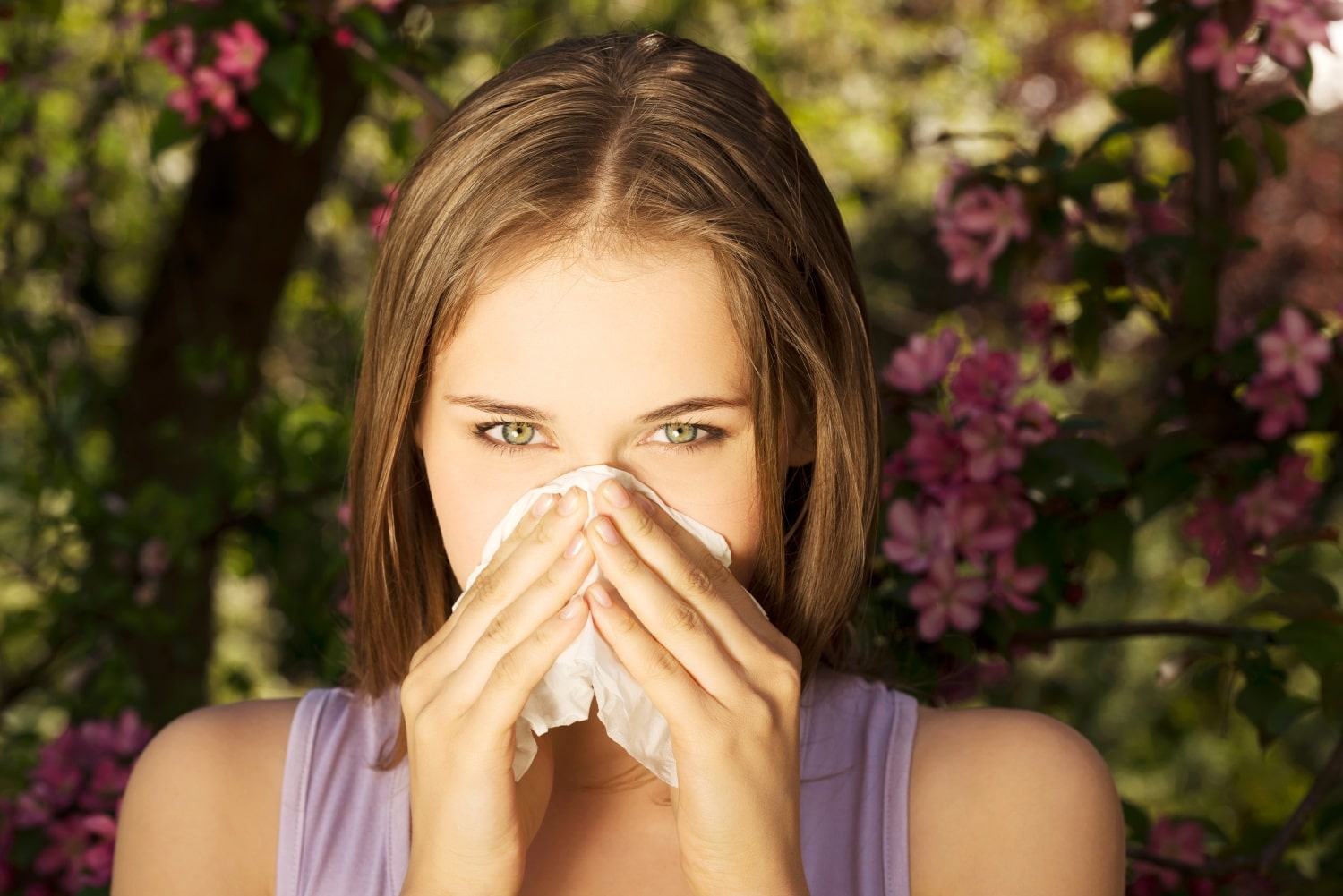 Vigyázat, pollenszezon! Természetes gyógymódok az allergia enyhítésére