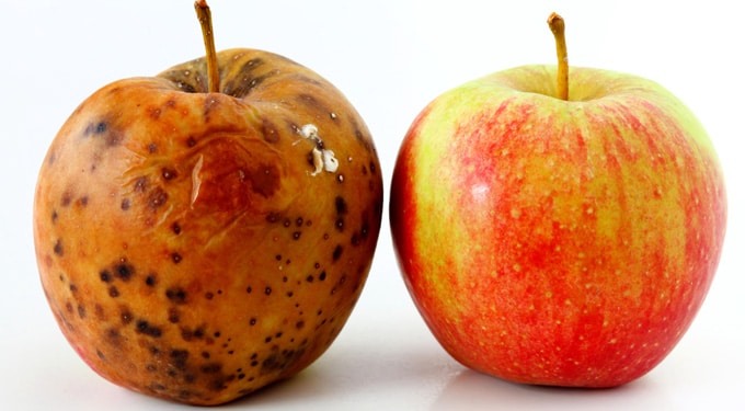 Így tárold az almát, hogy ne romoljon el