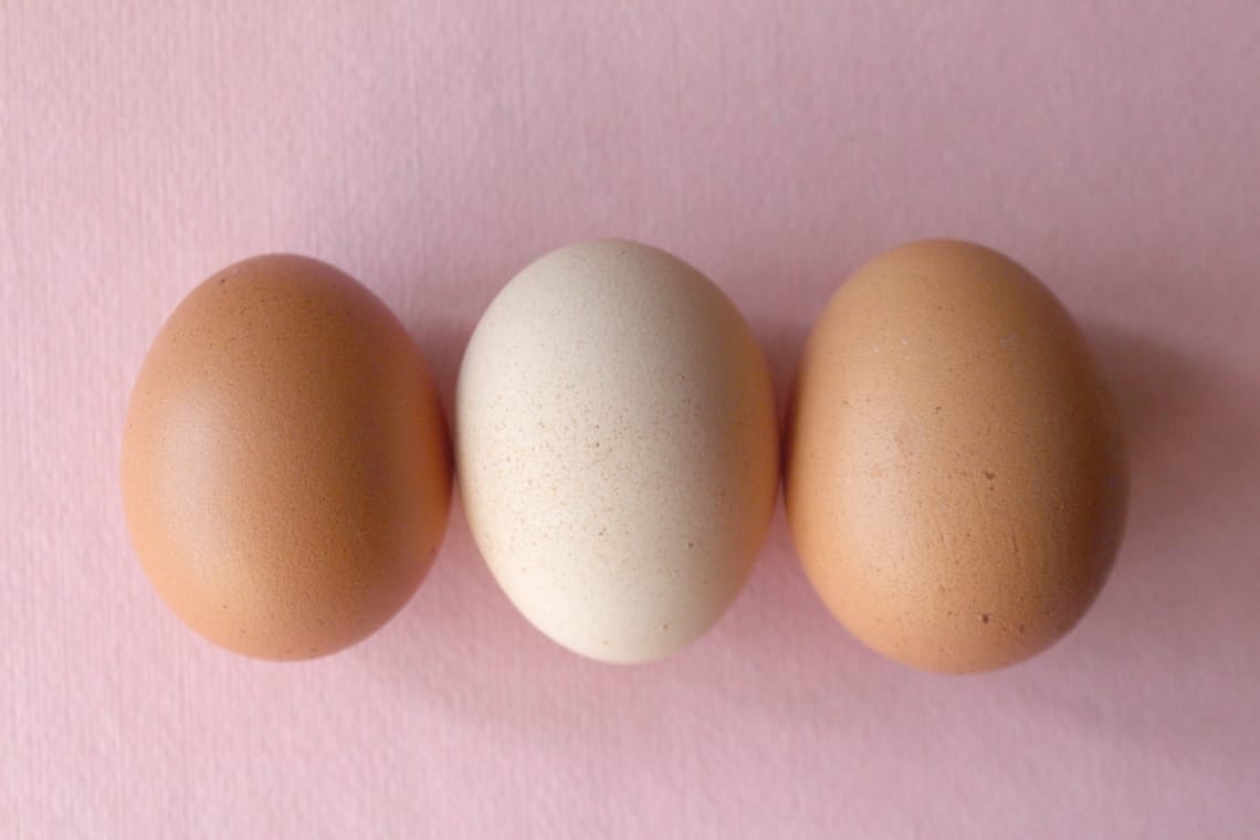 Teljesen mindegy, milyen színű a tojás