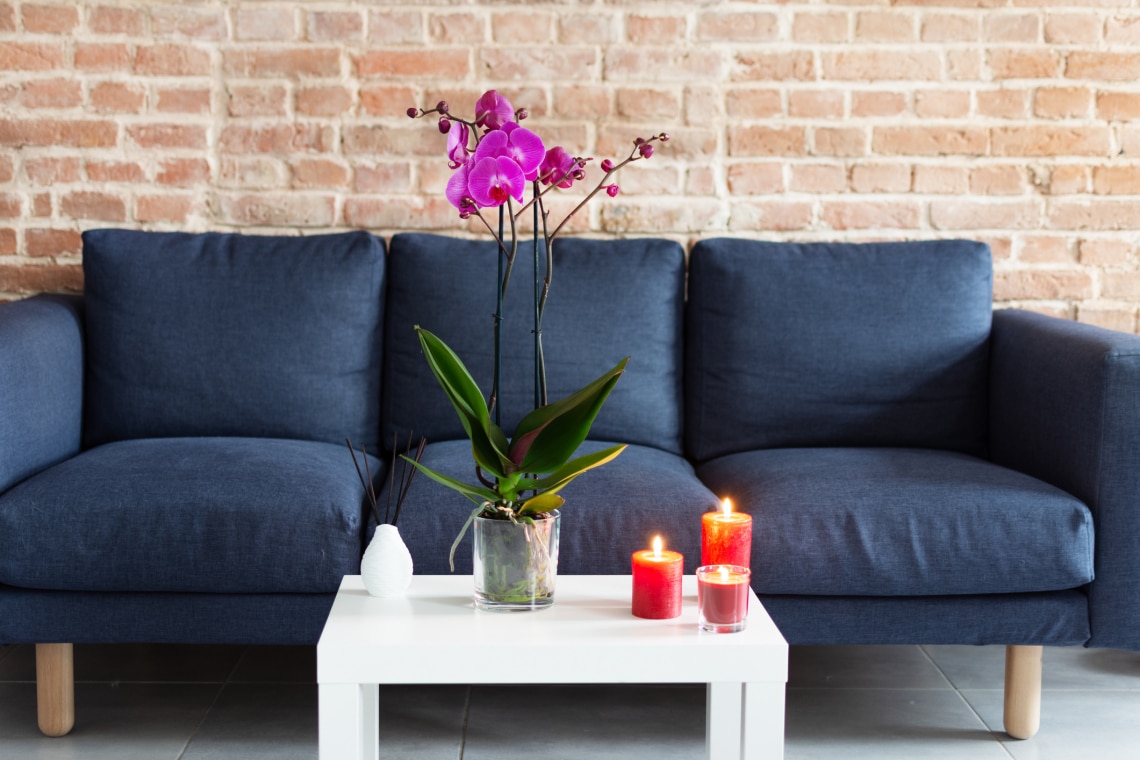 ﻿5 büdösségforrás, amiért kellemetlen szag van a lakásodban