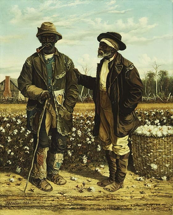A rabszolga, aki feltalálta a gyapotszedő gépet, de a dicsőséget a gazdája aratta le