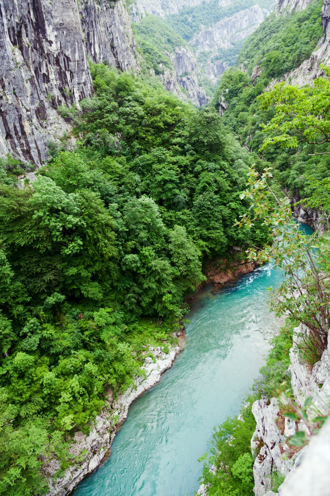 Tara-kanyon, Montenegro