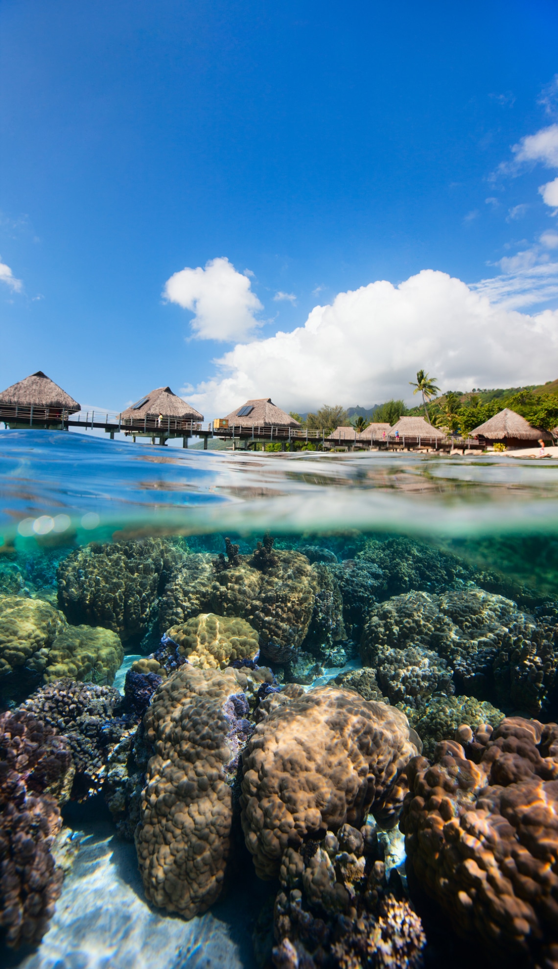 Június: Francia-Polinézia