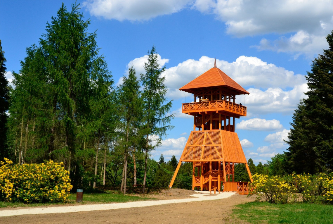 Jeli Arborétum