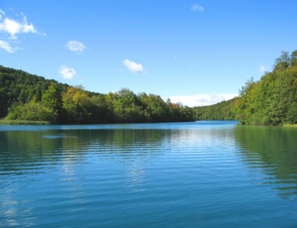 4 rejtett tó Magyarországon, ahová érdemes egy kiruccanást tenned