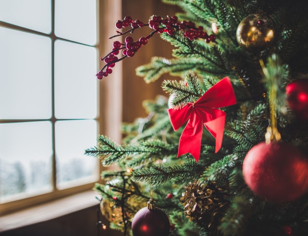 5 mód, ahogyan eltüntetheted környezettudatosan a karácsonyfát
