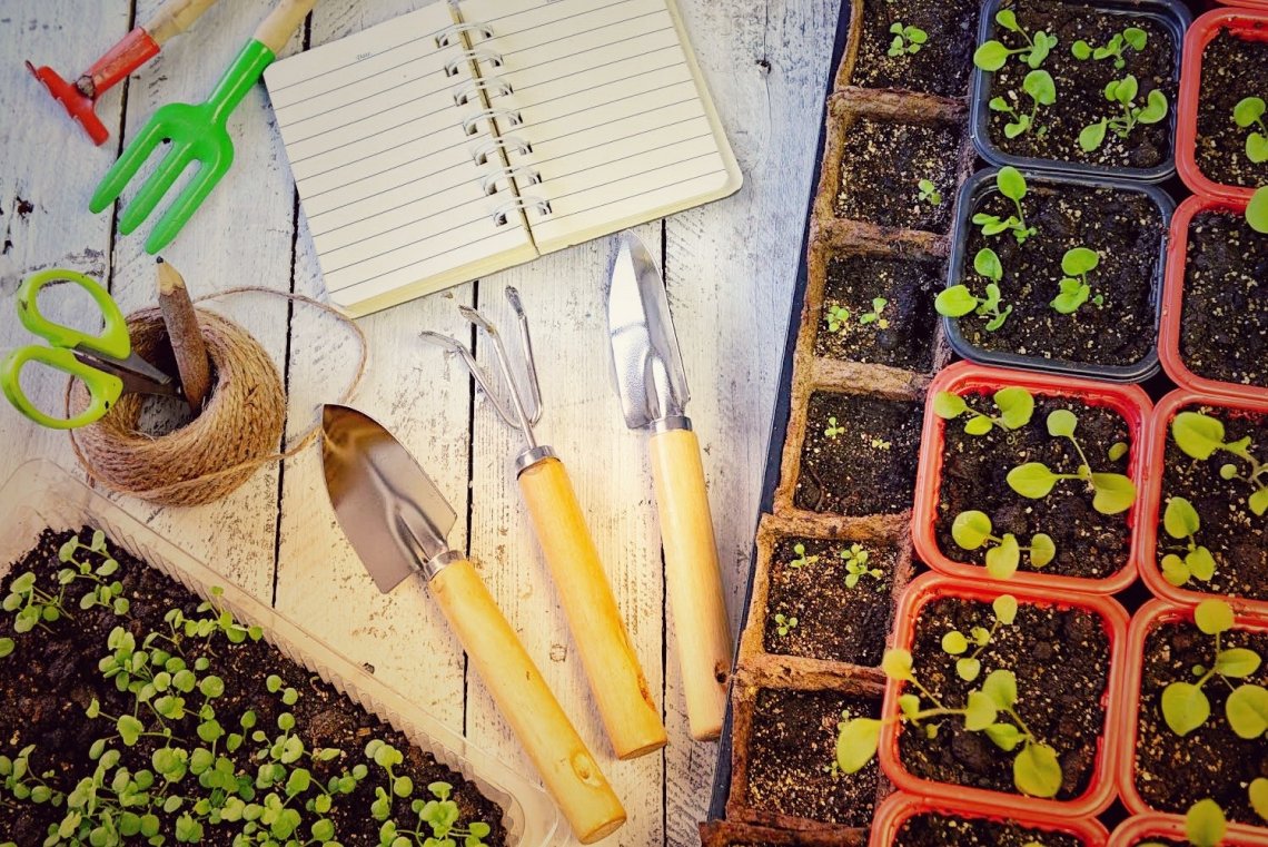 Akármilyen pici is a kerted: így alakíts ki saját konyhakertet!