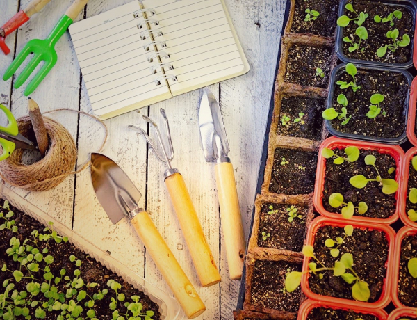 Akármilyen pici is a kerted: így alakíts ki saját konyhakertet!