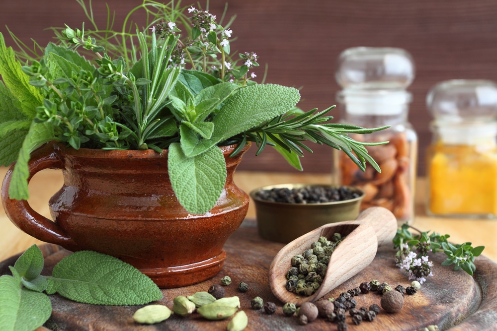 6  fűszer- és gyógynövény, amiket télen is gondozhatsz az otthonodban