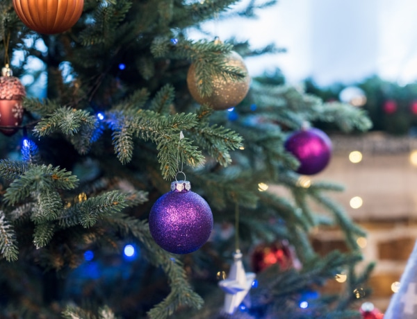Ezek a legszebb karácsonyfa típusok és erre figyelj fenyőfa vásárlásnál