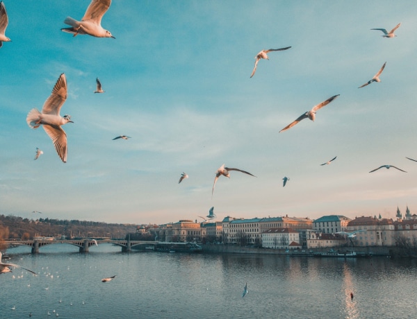 Egy nagy kedvenc, ha őszi utazást tervezel: ezért látogass el Prágába