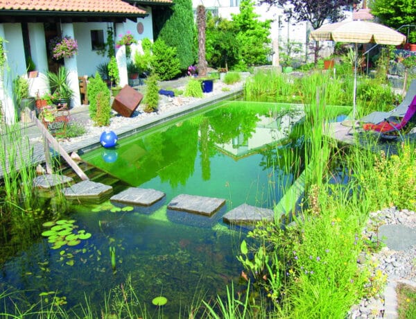 Csobbanás a saját kertedben: 12 inspiráció természetes stílusú medencére