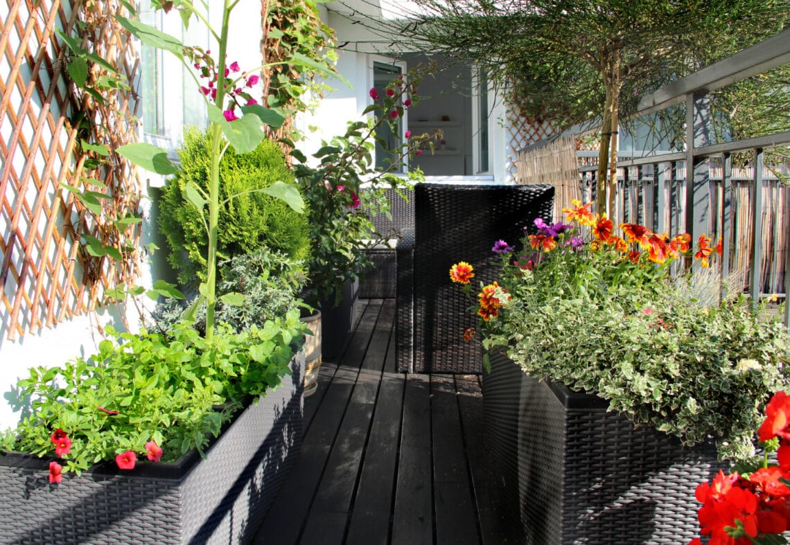 Ezekkel érdemes beültetni a balkont! 10 fűszernövény és zöldség, aminek itt a helye, ha nincs kerted