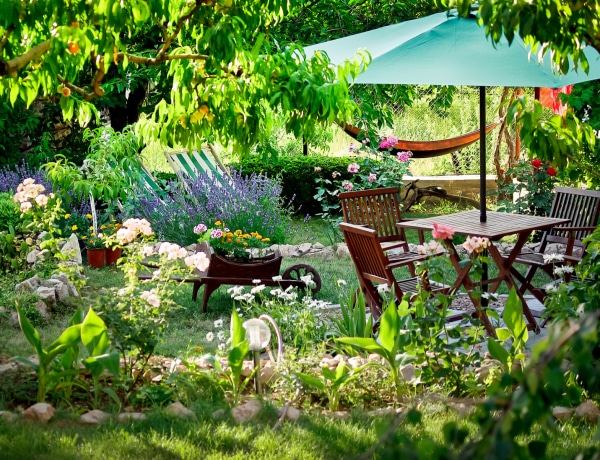 Kertészeti megoldások, ha romantikus hangulatú kertet szeretnél
