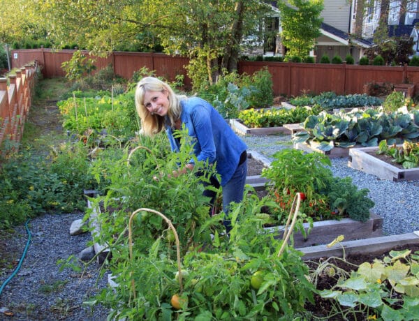 Kertészkedés a nagyvárosban? Csatlakozz te is egy közösségi kerthez!