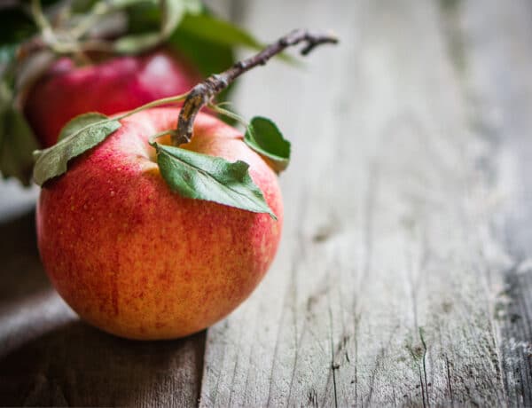 Mennyei almás receptek ínyenceknek és édesszájúaknak