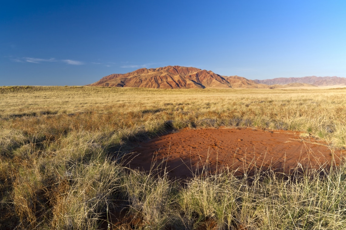 Titokzatos foltok jelentek meg a sivatagban – Senki nem tudja az okát