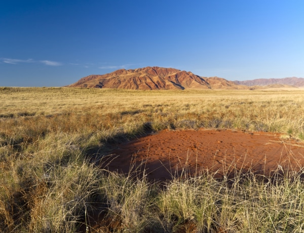 Titokzatos foltok jelentek meg a sivatagban – Senki nem tudja az okát