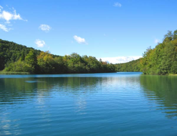 4 rejtett tó Magyarországon, ami tökéletesen kielégíti a vízpart igényedet