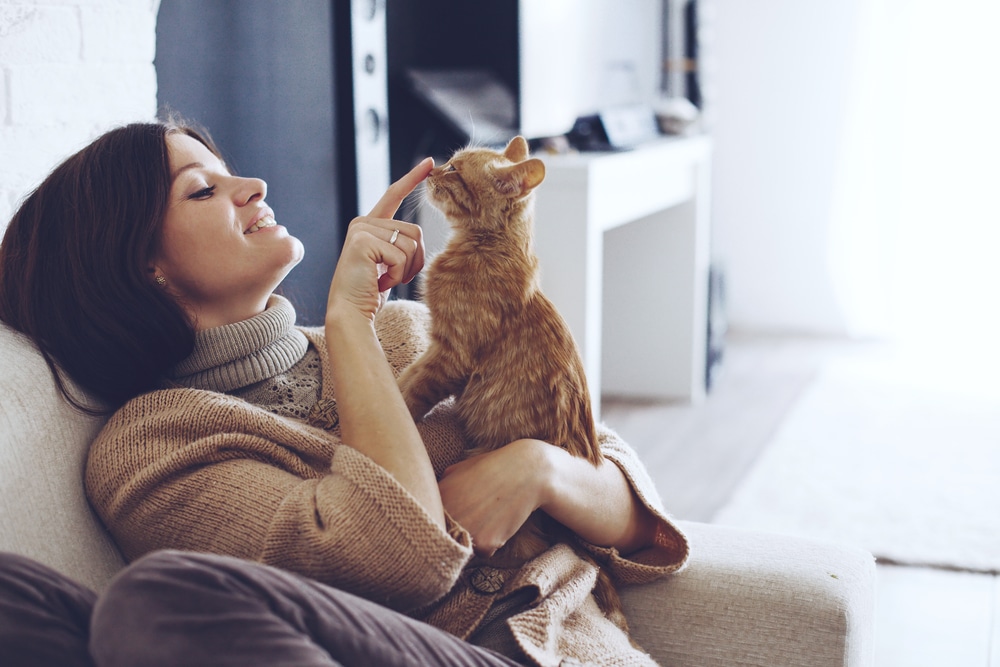 Tudományos tény: a macskád jót tesz az egészségednek