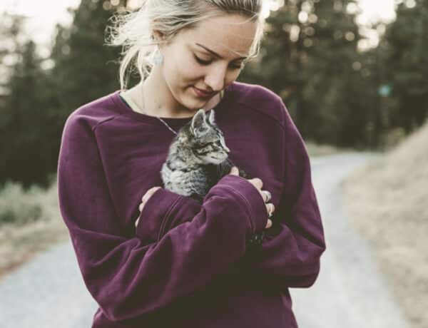 Védőoltás védhet meg a macskaszőr-allergiától – egy tanulmány szerint