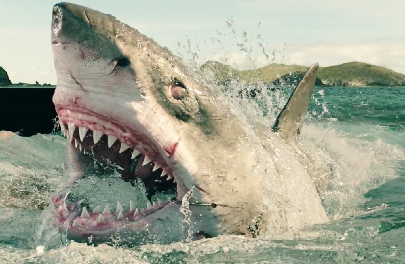 Így éld túl a cápatámadást: tengerparti nyaraláshoz kötelező tudni!