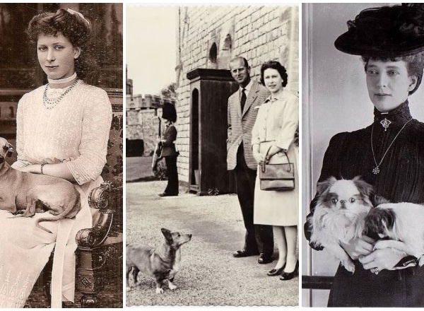 Milyenek Erzsébet királynő kutyái? Királyi családok kiskedvenceikkel, fotókban